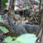 Filipiny / Małgorzata Anna Jóźwiak i Marek Jóźwiak