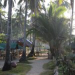 Filipiny / Małgorzata Anna Jóźwiak i Marek Jóźwiak