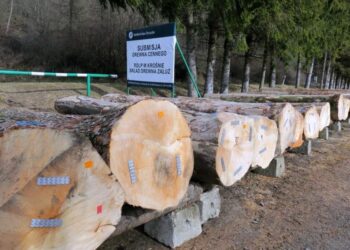 Radio Rzeszów/Edward Marszałek