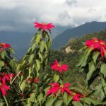 Indie Północno-Wschodnie / Danuta Rasała i Sławomir Skowron