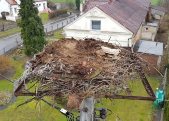 Picasa / Radio Opole