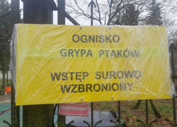 K. Grabowska