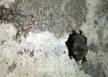 Radio Kraków/M.Lasyk