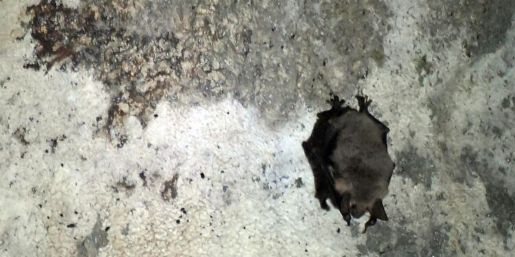 Radio Kraków/M.Lasyk