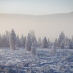 Wyprawa Piotra Marczewskiego i Valerjana Romanovskiego na Syberię / arch. prywatne