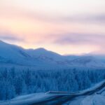 Wyprawa Piotra Marczewskiego i Valerjana Romanovskiego na Syberię / arch. prywatne