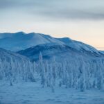 Wyprawa Piotra Marczewskiego i Valerjana Romanovskiego na Syberię / arch. prywatne