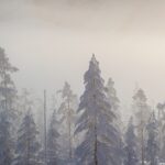 Wyprawa Piotra Marczewskiego i Valerjana Romanovskiego na Syberię / arch. prywatne