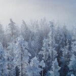 Wyprawa Piotra Marczewskiego i Valerjana Romanovskiego na Syberię / arch. prywatne