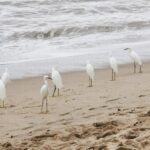 Meksyk / archiwum prywatne Barbary Zych