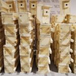 25.02.2020. Kielce. Budki lęgowe dla sikorek i jerzyków / Kamil Król / Radio Kielce