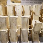 25.02.2020. Kielce. Budki lęgowe dla sikorek i jerzyków / Kamil Król / Radio Kielce