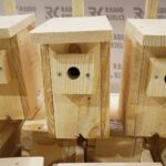 25.02.2020. Kielce. Budki lęgowe dla sikorek i jerzyków / Kamil Król / Radio Kielce