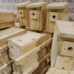 25.02.2020. Kielce. Budki lęgowe dla sikorek i jerzyków / Kamil Król / Radio Kielce