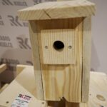 25.02.2020. Kielce. Budki lęgowe dla sikorek i jerzyków / Kamil Król / Radio Kielce