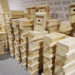 25.02.2020. Kielce. Budki lęgowe dla sikorek i jerzyków / Kamil Król / Radio Kielce