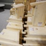 25.02.2020. Kielce. Budki lęgowe dla sikorek i jerzyków / Kamil Król / Radio Kielce