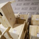 25.02.2020. Kielce. Budki lęgowe dla sikorek i jerzyków / Kamil Król / Radio Kielce