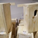 25.02.2020. Kielce. Budki lęgowe dla sikorek i jerzyków / Kamil Król / Radio Kielce