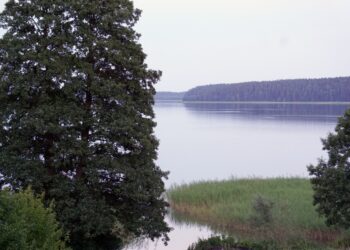 03.08.2015. Jezioro Wigry / Stanisław Blinstrub / Radio Kielce