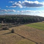 13.02.2020 Jaworznia. Rezerwat Moczydło / Jarosław Kubalski / Radio Kielce