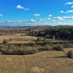 13.02.2020 Jaworznia. Rezerwat Moczydło / Jarosław Kubalski / Radio Kielce