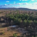 13.02.2020 Jaworznia. Rezerwat Moczydło / Jarosław Kubalski / Radio Kielce