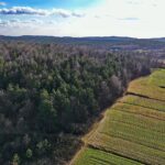 13.02.2020 Jaworznia. Rezerwat Moczydło / Jarosław Kubalski / Radio Kielce