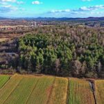 13.02.2020 Jaworznia. Rezerwat Moczydło / Jarosław Kubalski / Radio Kielce