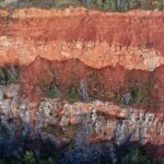 13.02.2020 Jaworznia. Rezerwat Chelosiowa Jama / Jarosław Kubalski / Radio Kielce