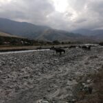 Osetia Północna / Michał Jońca