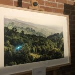 Grażyna Szlęzak-Wójcik / Radio Kielce