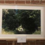 Grażyna Szlęzak-Wójcik / Radio Kielce