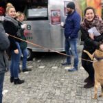 14.02.2020 Sandomierz. Akcja „Serce dla przytulnych” / Grażyna Szlęzak-Wójcik / Radio Kielce