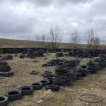 20.02.2020. Sandomierz. Schronisko dla zwierząt w Sandomierzu / Grażyna Szlęzak-Wójcik / Radio Kielce