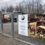 20.02.2020. Sandomierz. Schronisko dla zwierząt w Sandomierzu / Grażyna Szlęzak-Wójcik / Radio Kielce