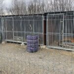 20.02.2020. Sandomierz. Schronisko dla zwierząt w Sandomierzu / Grażyna Szlęzak-Wójcik / Radio Kielce