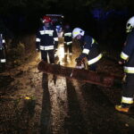 Kielce. Wichura. Strażacy usuwają powalone drzewa. Ulica Chorzowska / Jarosław Kubalski / Radio Kielce