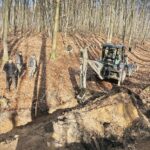 08.02.2020 Las w okolicy miejscowości Zagrody. Fundacja Niezłomni poszukuje ukrytych mogił ofiar komunistycznego terroru / Jarosław Kubalski / Radio Kielce