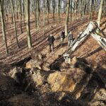 08.02.2020 Las w okolicy miejscowości Zagrody. Fundacja Niezłomni poszukuje ukrytych mogił ofiar komunistycznego terroru / Jarosław Kubalski / Radio Kielce