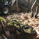 08.02.2020 Las w okolicy miejscowości Zagrody. Fundacja Niezłomni poszukuje ukrytych mogił ofiar komunistycznego terroru. Znalezione łuski od nabojów Tokariewa / Jarosław Kubalski / Radio Kielce