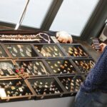 22.02.2020 Kielce. KCK. Ogólnopolska Giełda Minerałów, Skamieniałości i Wyrobów Jubilerskich / Jarosław Kubalski / Radio Kielce