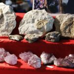 22.02.2020 Kielce. KCK. Ogólnopolska Giełda Minerałów, Skamieniałości i Wyrobów Jubilerskich / Jarosław Kubalski / Radio Kielce