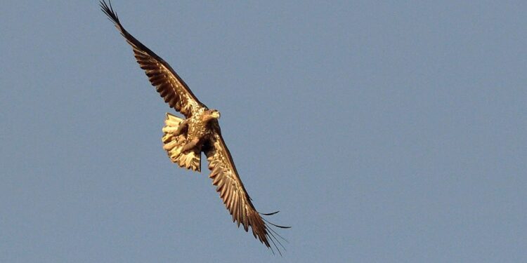 Radio Olsztyn/Krzysztof Mikunda