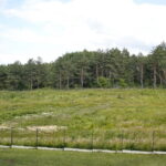 Teren gdzie ma powstać Urząd Miar i Wag / Marzena Mąkosa / Radio Kielce