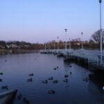 05.02.2020. Ostrowiec Świętokrzyski. Staw w Parku Miejskim / Emilia Sitarska / Radio Kielce