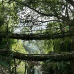 Indie Północno-Wschodnie / Danuta Rasała i Sławomir Skowron