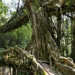 Indie Północno-Wschodnie / Danuta Rasała i Sławomir Skowron