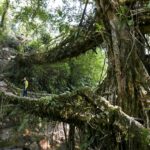 Indie Północno-Wschodnie / Danuta Rasała i Sławomir Skowron