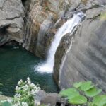 Indie Północno-Wschodnie / Danuta Rasała i Sławomir Skowron